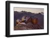 Austria, Tyrol, …tztaler Alps, Ramolhaus, Mountain Hut-Rainer Mirau-Framed Photographic Print