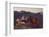 Austria, Tyrol, …tztaler Alps, Ramolhaus, Mountain Hut-Rainer Mirau-Framed Photographic Print