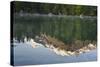 Austria, Upper Austria, Almtal, Odseen, Dead Mountains Reflecting in Lake-Rainer Mirau-Stretched Canvas