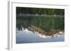 Austria, Upper Austria, Almtal, Odseen, Dead Mountains Reflecting in Lake-Rainer Mirau-Framed Photographic Print