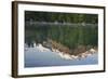 Austria, Upper Austria, Almtal, Odseen, Dead Mountains Reflecting in Lake-Rainer Mirau-Framed Photographic Print