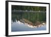 Austria, Upper Austria, Almtal, Odseen, Dead Mountains Reflecting in Lake-Rainer Mirau-Framed Photographic Print