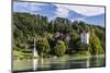 Austria, Upper Austria, Innviertel, Wernstein on the Inn, Marian Column and Castle Wernstein-Udo Siebig-Mounted Photographic Print