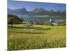 Austria, Upper Austria, Saint Wolfgang, Lake Wolfgangsee, Steeple-Rainer Mirau-Mounted Photographic Print