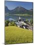 Austria, Upper Austria, Saint Wolfgang, Lake Wolfgangsee, Steeple-Rainer Mirau-Mounted Photographic Print