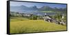 Austria, Upper Austria, St. Wolfgang, Lake Wolfgangsee, Steeple-Rainer Mirau-Framed Stretched Canvas