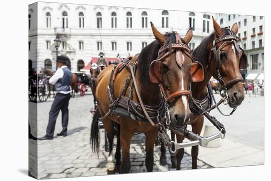 Austria, Vienna, Cab, Horses-Gerhard Wild-Stretched Canvas