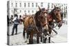 Austria, Vienna, Cab, Horses-Gerhard Wild-Stretched Canvas