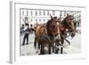 Austria, Vienna, Cab, Horses-Gerhard Wild-Framed Photographic Print