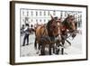 Austria, Vienna, Cab, Horses-Gerhard Wild-Framed Photographic Print