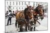 Austria, Vienna, Cab, Horses-Gerhard Wild-Mounted Photographic Print