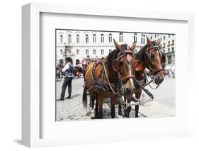 Austria, Vienna, Cab, Horses-Gerhard Wild-Framed Photographic Print