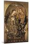 Austria, Vienna, Coronation of the Virgin Mary-null-Mounted Giclee Print