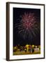 Austria, Vienna, Fireworks, Festival of Lights, Night-Gerhard Wild-Framed Photographic Print