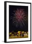 Austria, Vienna, Fireworks, Festival of Lights, Night-Gerhard Wild-Framed Photographic Print