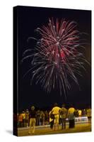 Austria, Vienna, Fireworks, Festival of Lights, Night-Gerhard Wild-Stretched Canvas