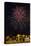 Austria, Vienna, Fireworks, Festival of Lights, Night-Gerhard Wild-Stretched Canvas