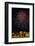 Austria, Vienna, Fireworks, Festival of Lights, Night-Gerhard Wild-Framed Photographic Print