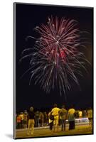 Austria, Vienna, Fireworks, Festival of Lights, Night-Gerhard Wild-Mounted Photographic Print