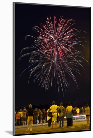 Austria, Vienna, Fireworks, Festival of Lights, Night-Gerhard Wild-Mounted Photographic Print