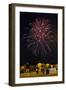 Austria, Vienna, Fireworks, Festival of Lights, Night-Gerhard Wild-Framed Photographic Print