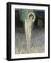 Austria, Vienna, Illustration of Dante Alighieri's Divine Comedy-null-Framed Giclee Print