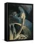 Austria, Vienna, Illustration of Dante Alighieri's Divine Comedy-null-Framed Stretched Canvas