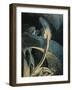 Austria, Vienna, Illustration of Dante Alighieri's Divine Comedy-null-Framed Giclee Print