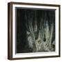 Austria, Vienna, Illustration of Dante Alighieri's Divine Comedy-null-Framed Giclee Print