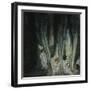 Austria, Vienna, Illustration of Dante Alighieri's Divine Comedy-null-Framed Giclee Print