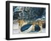 Austria, Vienna, Illustration of Dante Alighieri's Divine Comedy-null-Framed Giclee Print