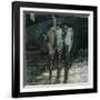 Austria, Vienna, Illustration of Dante Alighieri's Divine Comedy-null-Framed Giclee Print