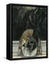 Austria, Vienna, Illustration of Dante Alighieri's Divine Comedy-null-Framed Stretched Canvas