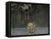 Austria, Vienna, Illustration of Dante Alighieri's Divine Comedy-null-Framed Stretched Canvas