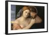 Austria, Vienna, Naked Young Woman in Front of the Mirror, Detail-null-Framed Giclee Print