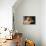 Austria, Vienna, Naked Young Woman in Front of the Mirror, Detail-null-Giclee Print displayed on a wall