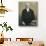 Austria, Vienna, Period Photograph of Composer Anton Bruckner-null-Stretched Canvas displayed on a wall