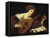 Austria, Vienna, the Lute Player-null-Framed Stretched Canvas