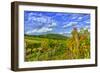 Austria, Vienna, urban vineyards.-Richard Duval-Framed Photographic Print