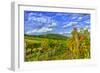 Austria, Vienna, urban vineyards.-Richard Duval-Framed Photographic Print