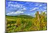 Austria, Vienna, urban vineyards.-Richard Duval-Mounted Photographic Print