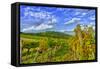 Austria, Vienna, urban vineyards.-Richard Duval-Framed Stretched Canvas