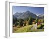 Austria, Vorarlberg (Region), Lechtal Alps, Omeshorn, Alpine Grassland, Bank-Rainer Mirau-Framed Photographic Print