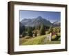 Austria, Vorarlberg (Region), Lechtal Alps, Omeshorn, Alpine Grassland, Bank-Rainer Mirau-Framed Photographic Print