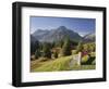 Austria, Vorarlberg (Region), Lechtal Alps, Omeshorn, Alpine Grassland, Bank-Rainer Mirau-Framed Photographic Print