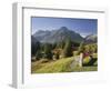 Austria, Vorarlberg (Region), Lechtal Alps, Omeshorn, Alpine Grassland, Bank-Rainer Mirau-Framed Photographic Print