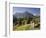 Austria, Vorarlberg (Region), Lechtal Alps, Omeshorn, Alpine Grassland, Bank-Rainer Mirau-Framed Photographic Print