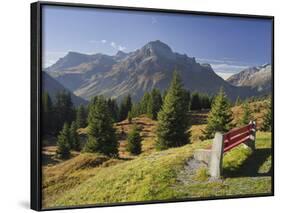 Austria, Vorarlberg (Region), Lechtal Alps, Omeshorn, Alpine Grassland, Bank-Rainer Mirau-Framed Photographic Print