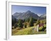 Austria, Vorarlberg (Region), Lechtal Alps, Omeshorn, Alpine Grassland, Bank-Rainer Mirau-Framed Photographic Print