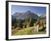 Austria, Vorarlberg (Region), Lechtal Alps, Omeshorn, Alpine Grassland, Bank-Rainer Mirau-Framed Photographic Print